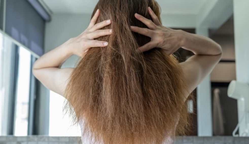 Óleo natural recupera cabelos ressecados e deixa os fios macios