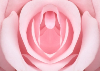 Vibrador deixa o clitóris insensível? A verdade que toda mulher precisa saber